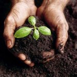 All You Need to Know About Our BioCHARGE Product