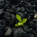 Ghana’s First Smallholder-Centric Carbon Removal Project