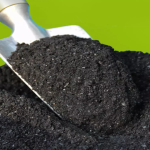 What is Biochar? Lets Break it Down for You